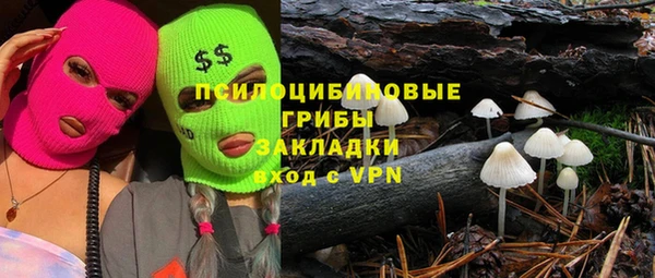 крисы Протвино