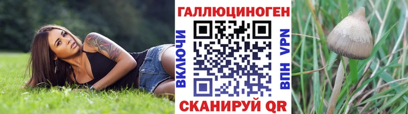Псилоцибиновые грибы GOLDEN TEACHER  где купить наркоту  Шахунья 