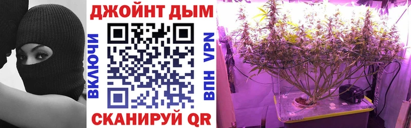 где купить наркоту  Шахунья  кракен как войти  Бошки марихуана LSD WEED 